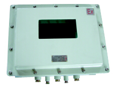 BDXY81系列防爆顯示器儀表箱(IIB IIC)
